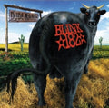 Blink 182 - Dude Ranch LP
