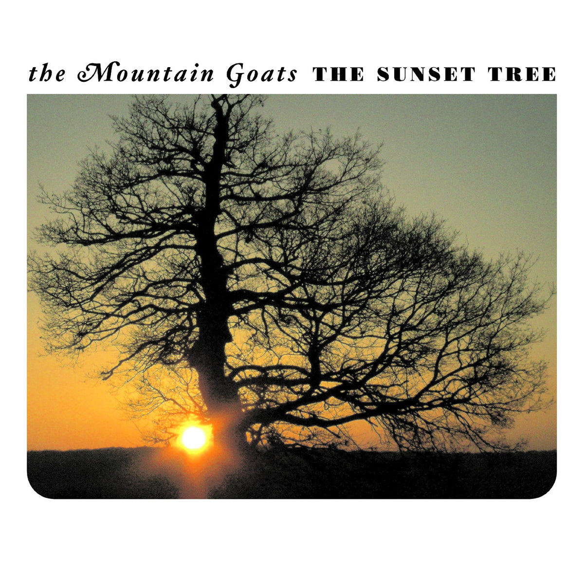 Mountain Goats, The - The Sunset Tree LP