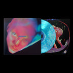 Fontaines D.C. - Dopamine Chamber CD