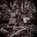 Kamasi Washington - Harmony Of Difference LP