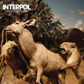 Interpol - Our Love to Admire 2xLP