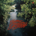 Surprise Chef - Education & Recreation LP