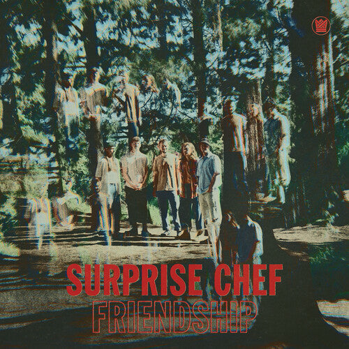 Surprise Chef - Friendship LP