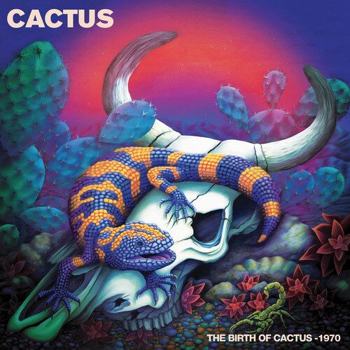 Cactus  ‎– The Birth Of Cactus - 1970 LP