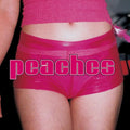 Peaches - The Teaches Of Peaches LP