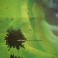 Eiafuawn - Birds In The Ground LP