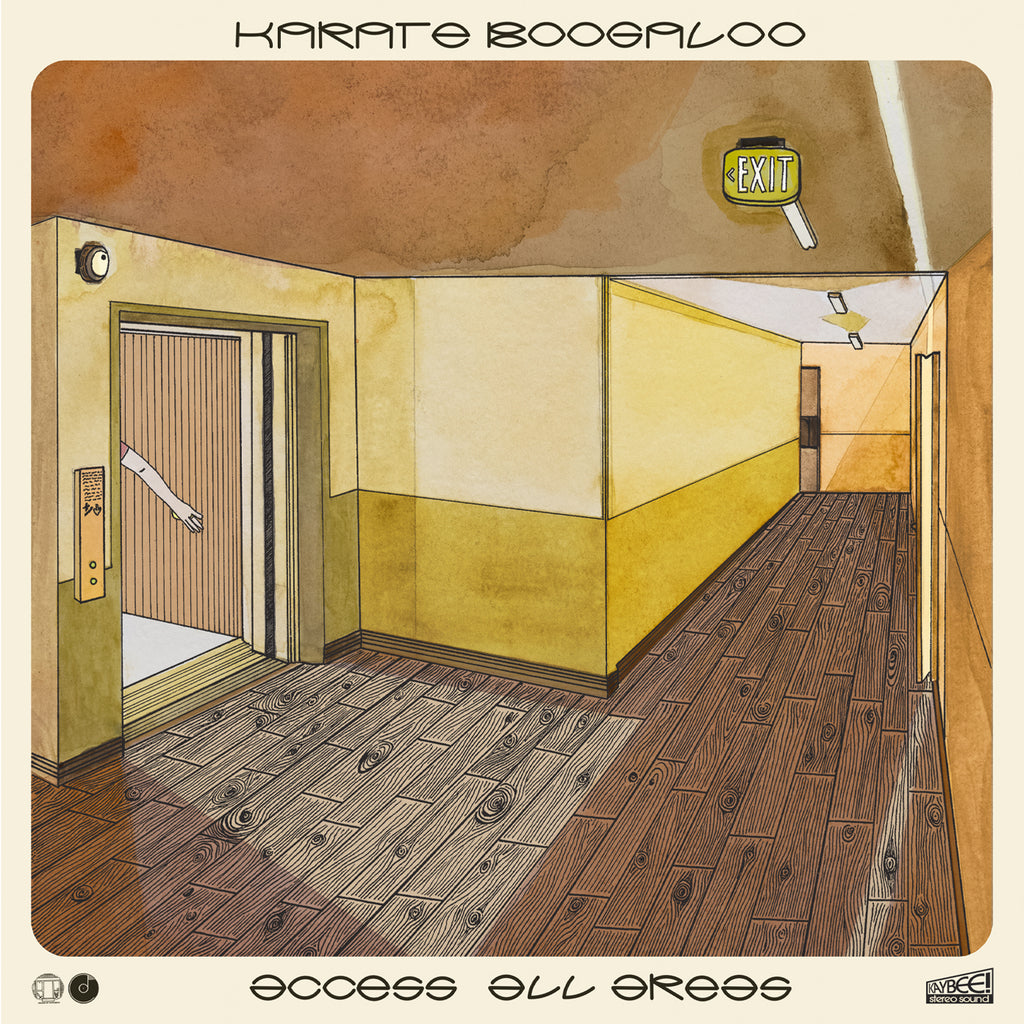 Karate Boogaloo - Access All Areas LP