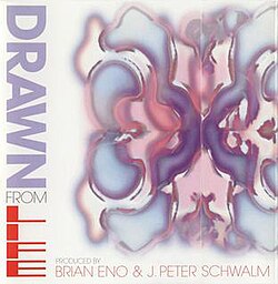 Brian Eno - Drawn From Life LP