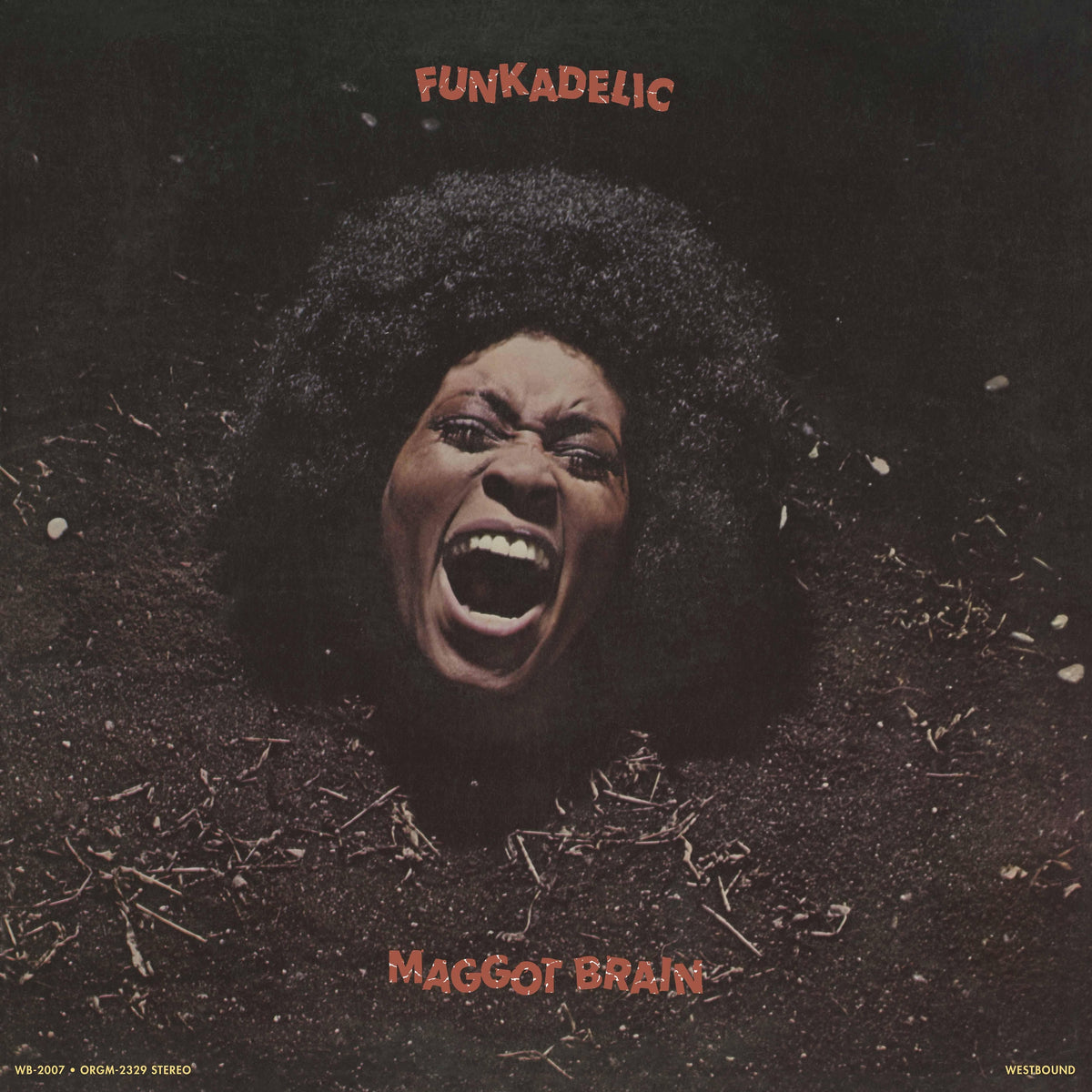 Funkadelic - Maggot Brain LP