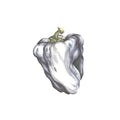 Ween – White Pepper LP
