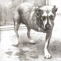 Alice In Chains - Alice In Chains 2xLP