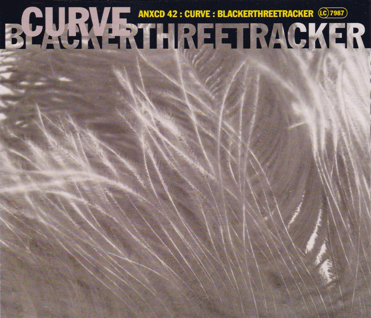 Curve – Blackerthreetracker 12"