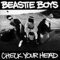 Beastie Boys - Check Your Head 2xLP