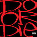 Do Or Die - Picture This 2xLP