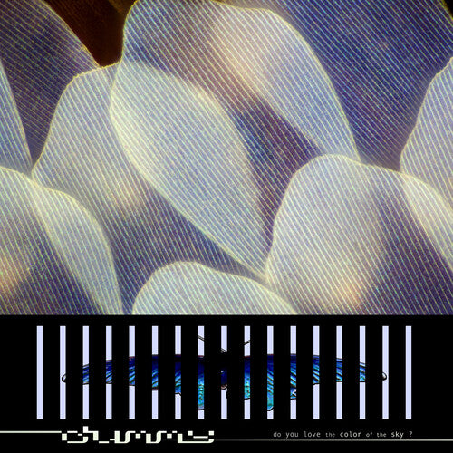 Dummy - do you love the color of the sky? LP