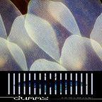Dummy - do you love the color of the sky? LP