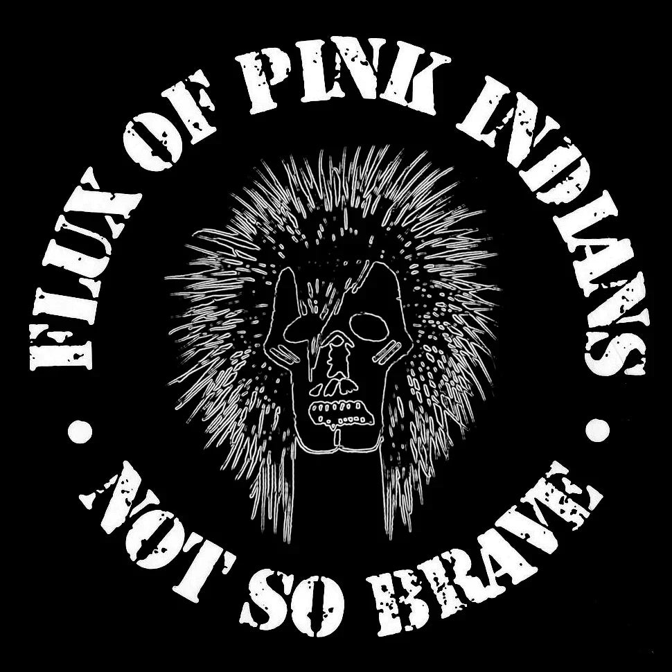 Flux of Pink Indians - Not So Brave LP