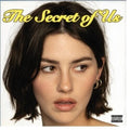 Gracie Abrams - The Secret Of Us LP