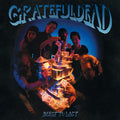 Grateful Dead, The – Built To Last LP