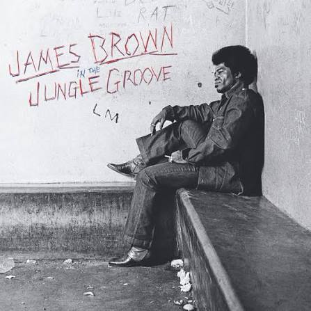 James Brown – In the Jungle Groove 2xLP