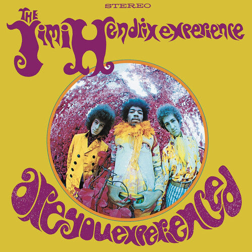 Jimi Hendrix Experience, The - Are You Experienced LP
