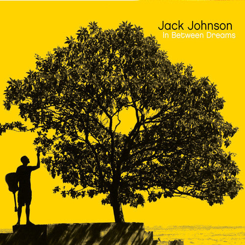 Jack Johnson - In Between Dreams CD