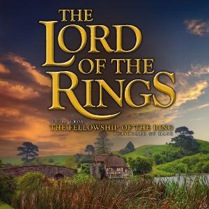 Lord Of The Rings: The Fellowship Of The Ring - Original Soundtrack LP
