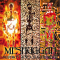 Meshuggah - Destroy Erase Improve 2xLP