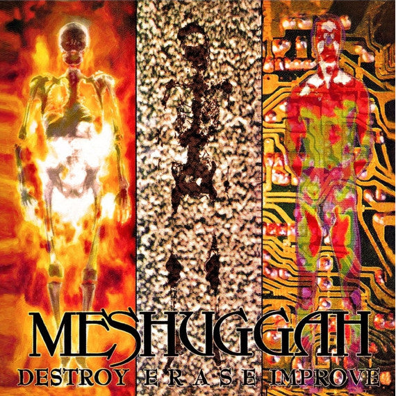Meshuggah - Destroy Erase Improve 2xLP