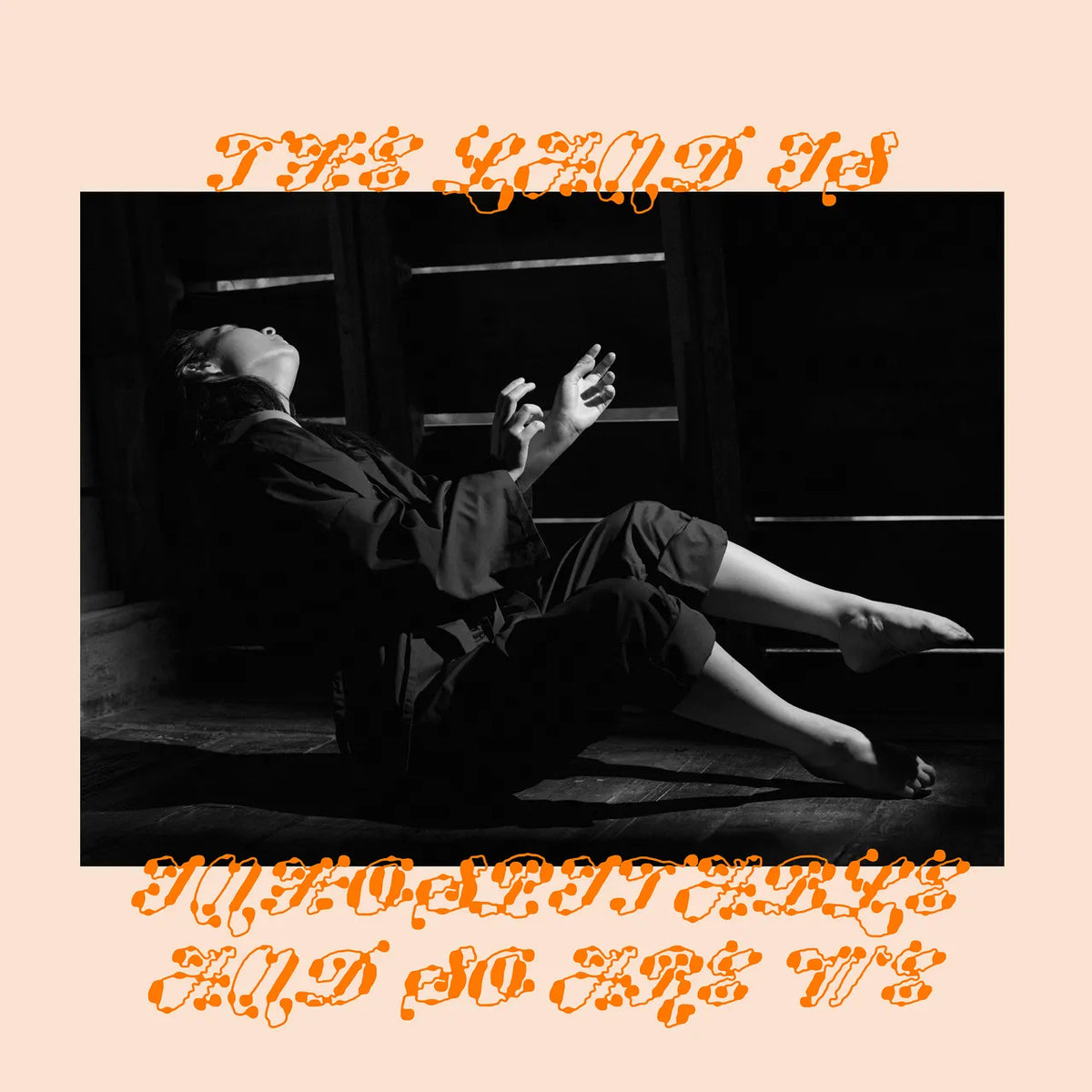 Mitski - The Land Is Inhospitable and So Are We Tape