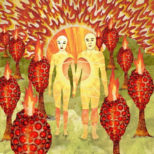 Of Montreal - The Sunlandic Twins 2xLP