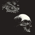 Osees (Thee Oh Sees) - A Foul Form LP