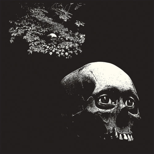 Osees (Thee Oh Sees) - A Foul Form LP