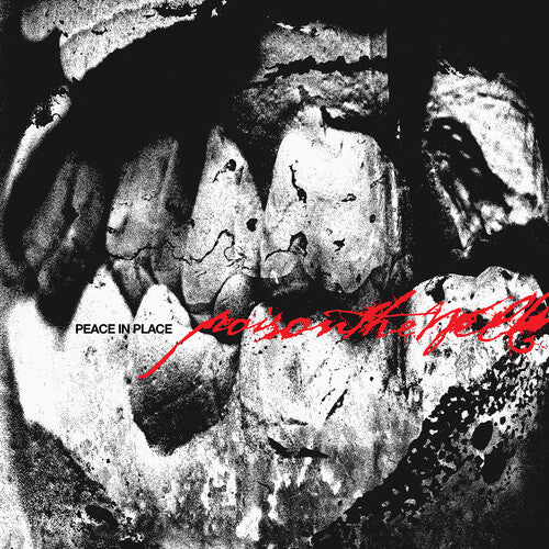 Poison The Well - Peace In Place CD