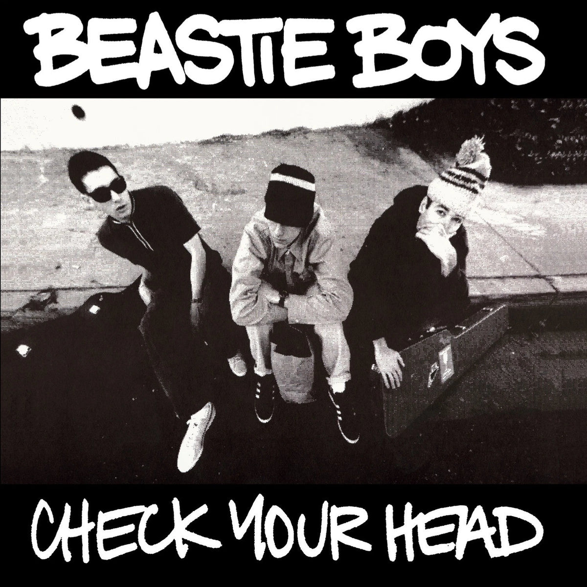 Beastie Boys - Check Your Head CD