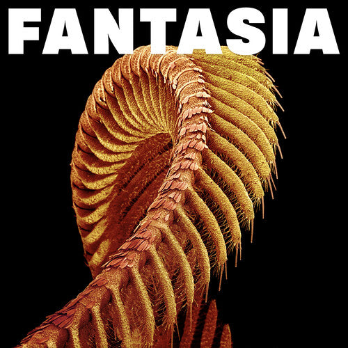 Slift - Fantasia 2xLP