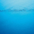 Caribou - Suddenly LP