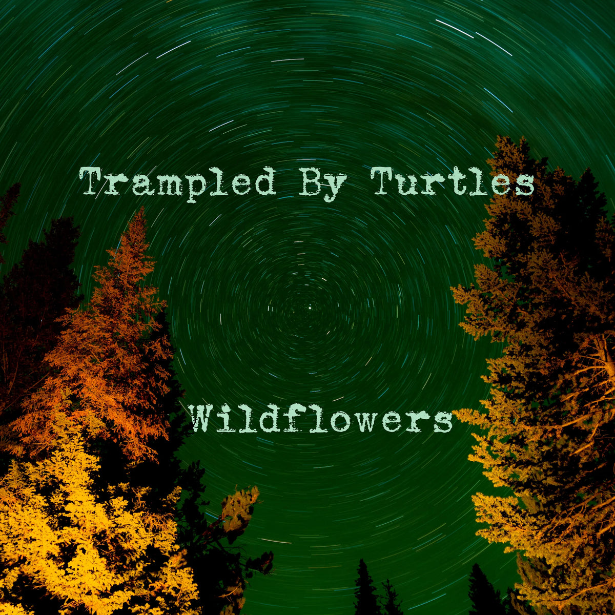 Trampled By Turtles – Wildflowers (RSD) 7"