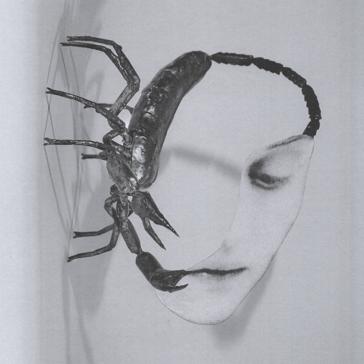 Tortoise - Touch LP