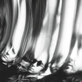 Ty Segall – Chrome LP