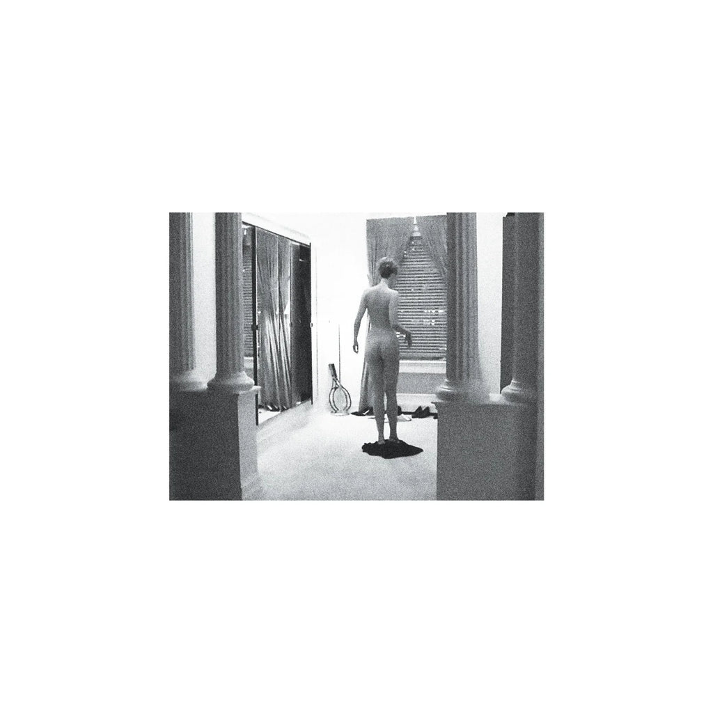 Whirr - Distressor 12"