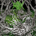 Worm - Gloomlord LP